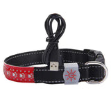 LED Light-Up Pet Collar.