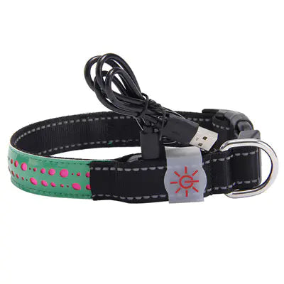 LED Light-Up Pet Collar.