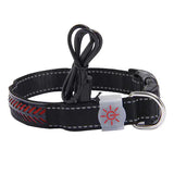LED Light-Up Pet Collar.