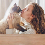 Electric Pet Massager.