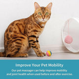 Electric Pet Massager.