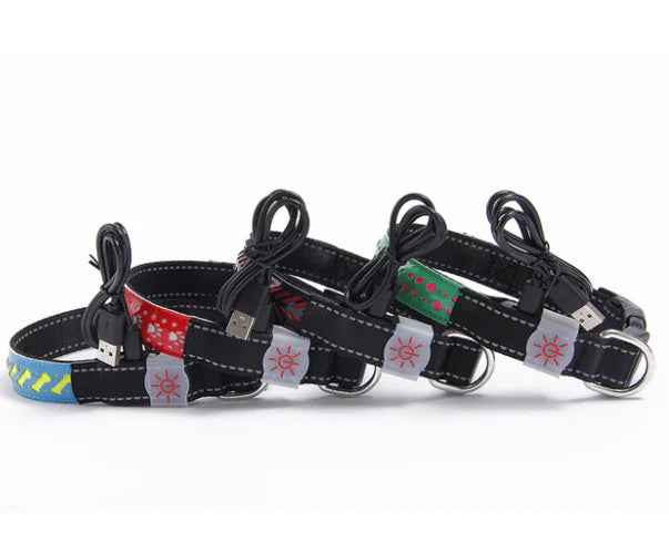 LED Light-Up Pet Collar.