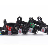 LED Light-Up Pet Collar.