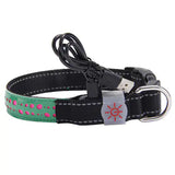 LED Light-Up Pet Collar.