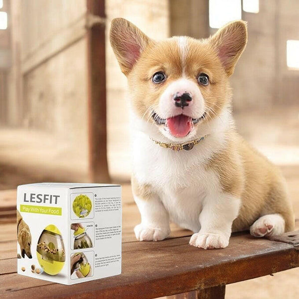 Pets IQ Treat Toys.
