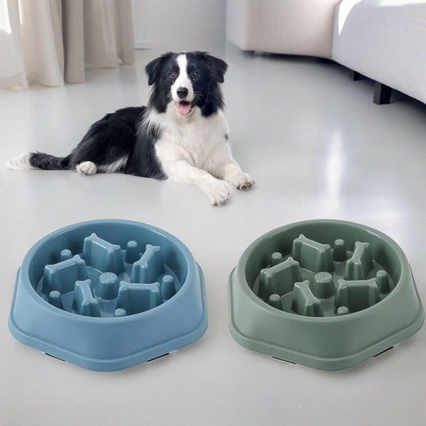 Slow Feeder Pet Bowl Blue.