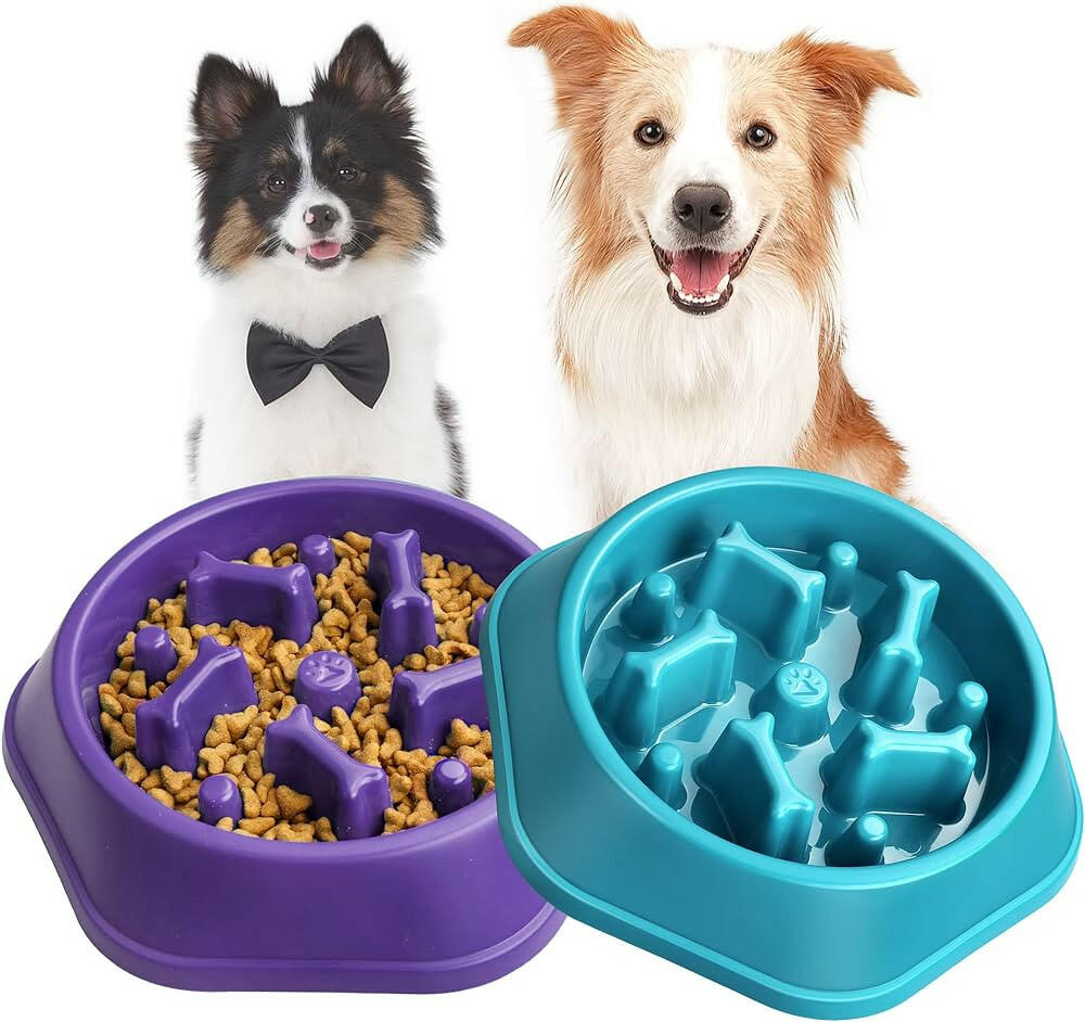 Slow Feeder Pet Bowl Blue.