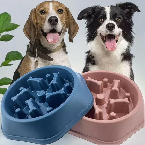 Slow Feeder Pet Bowl Blue.